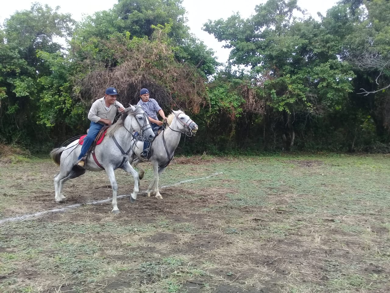 actividades